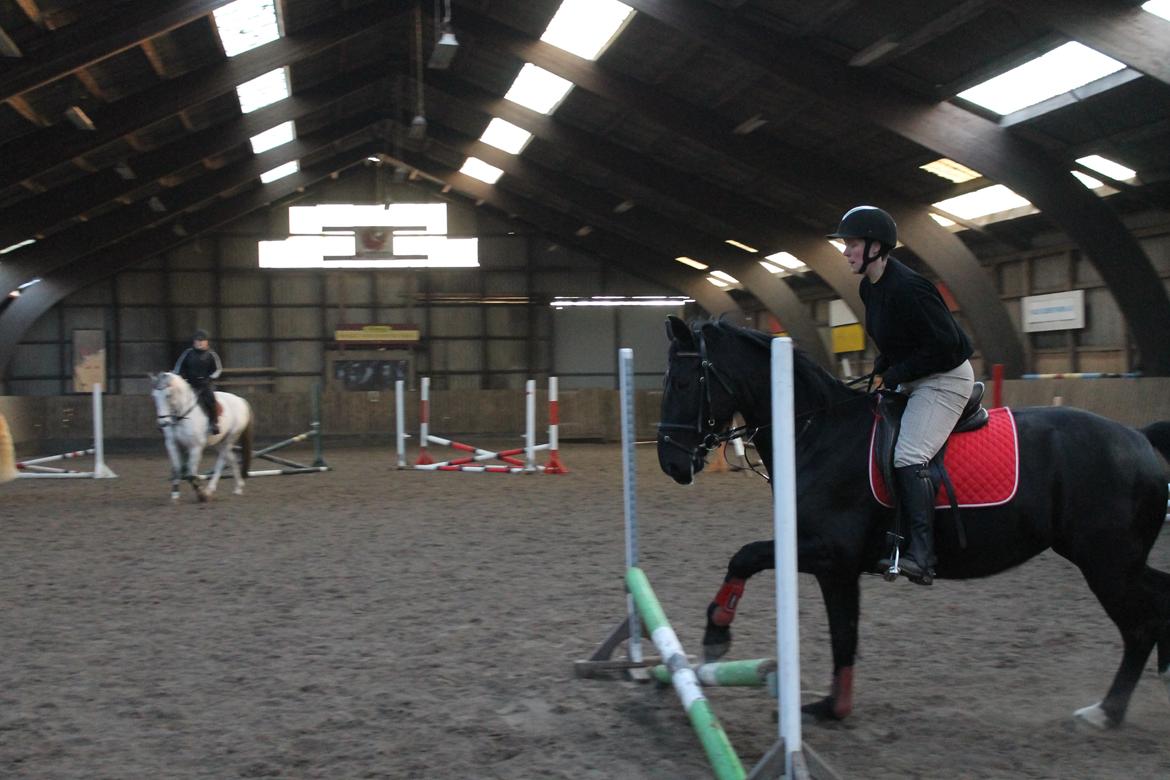 Anden særlig race Flika billede 5