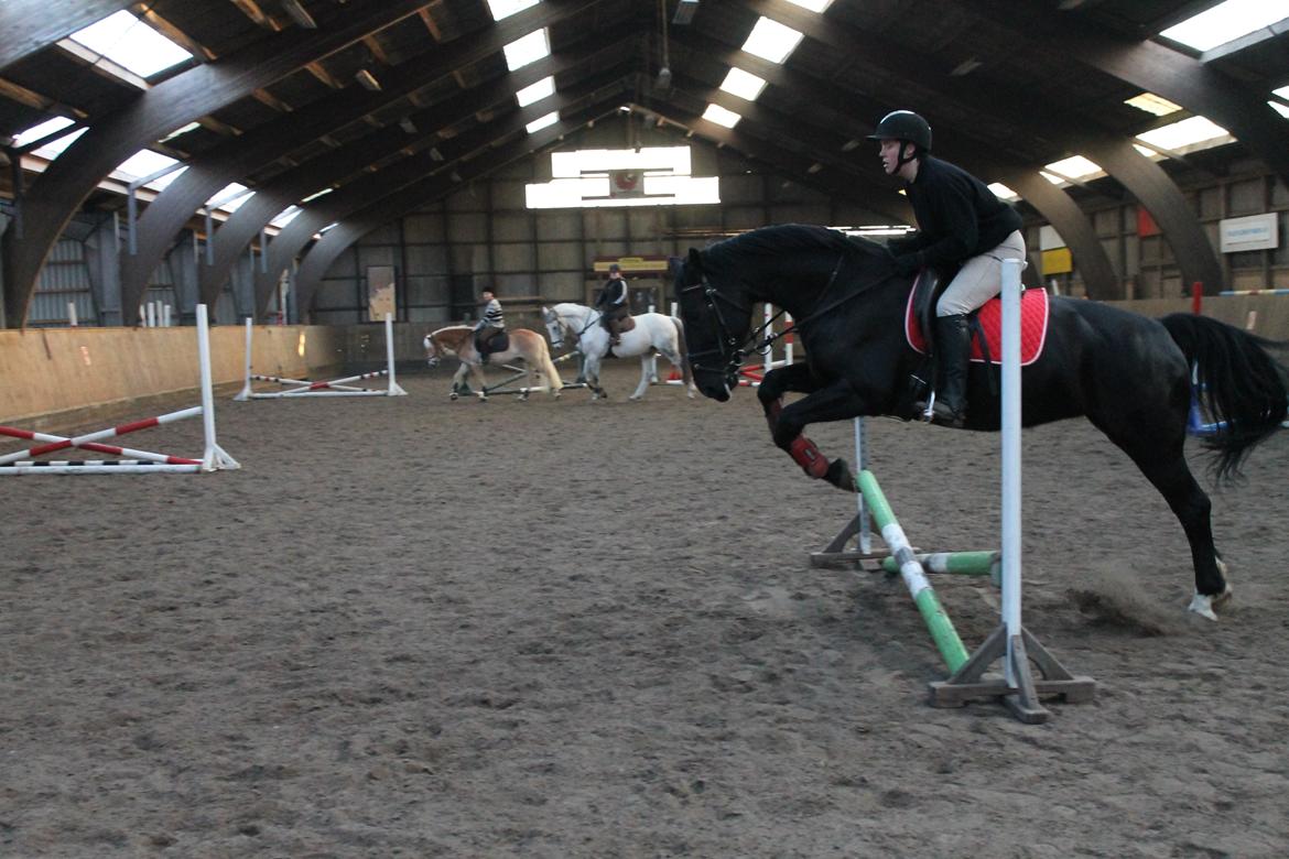 Anden særlig race Flika billede 2