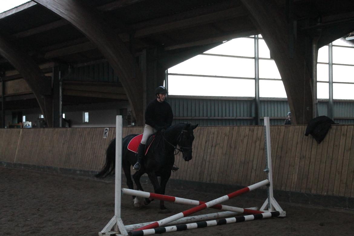 Anden særlig race Flika billede 8