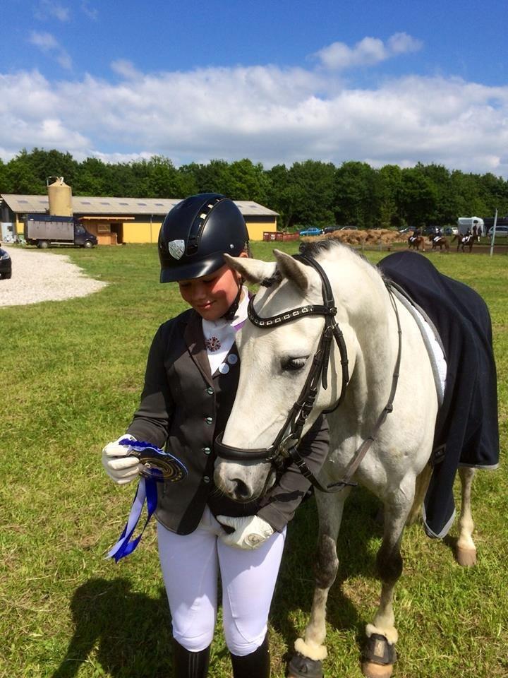 DSP BAKKEGAARDENS TRIPLE PERFECT billede 4