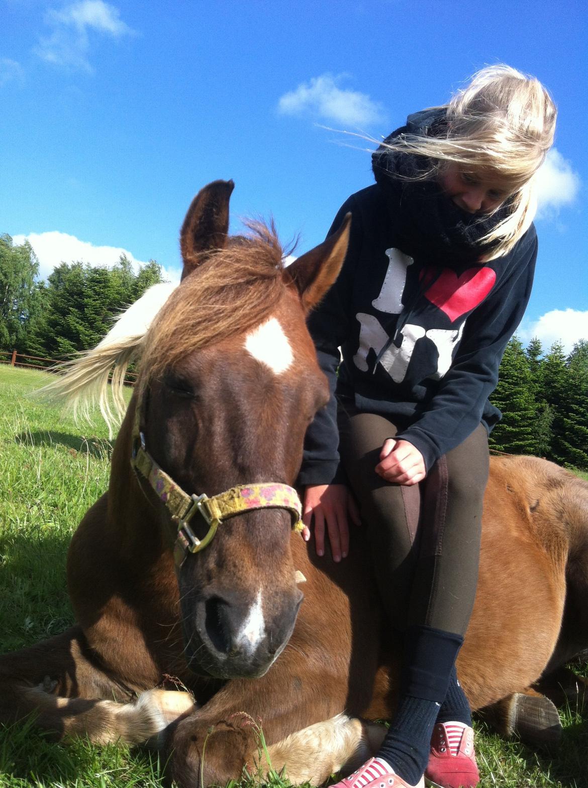 Anden særlig race Håbet Zeus billede 6