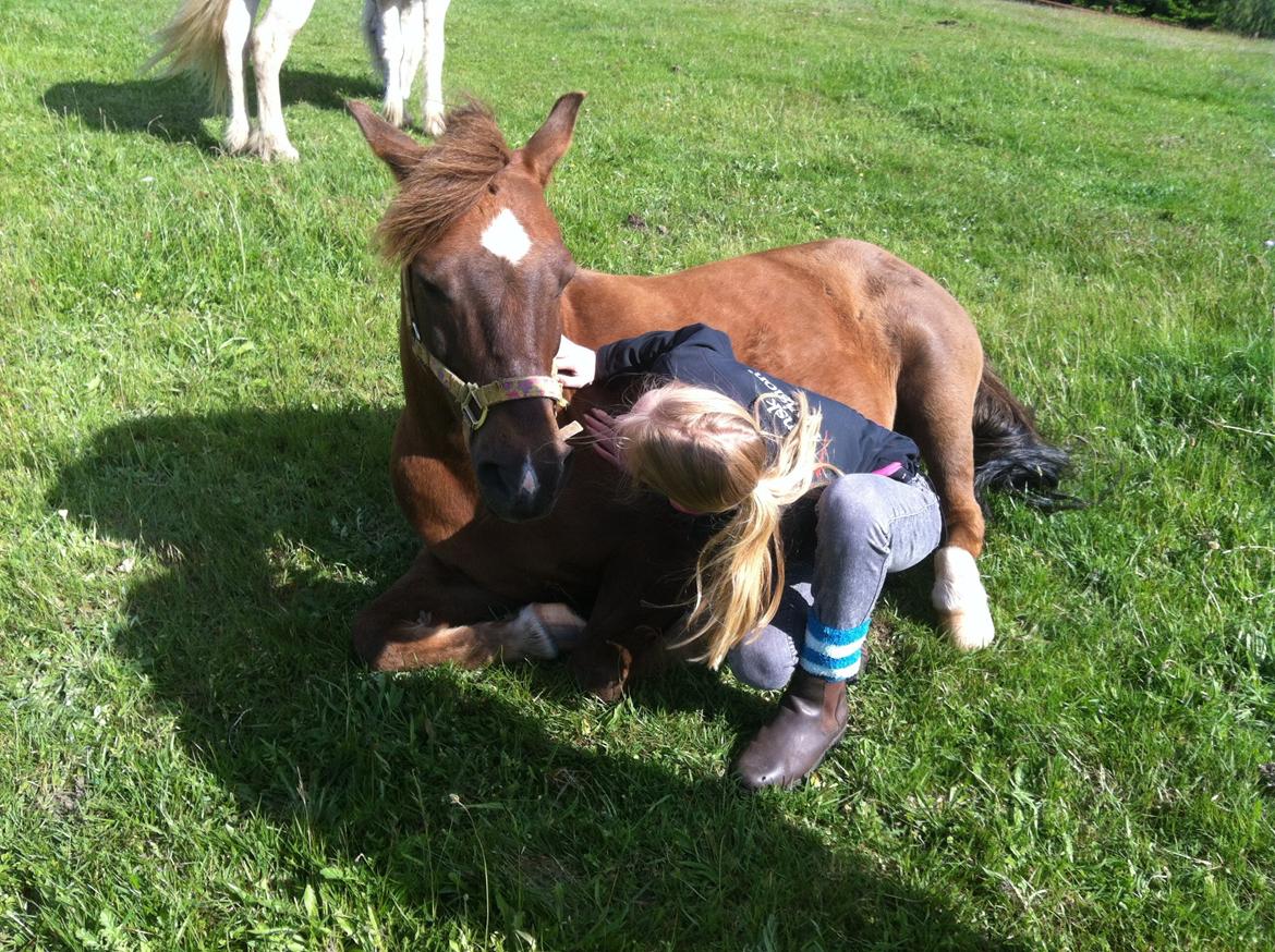 Anden særlig race Håbet Zeus - Kyyyys! <3  billede 9