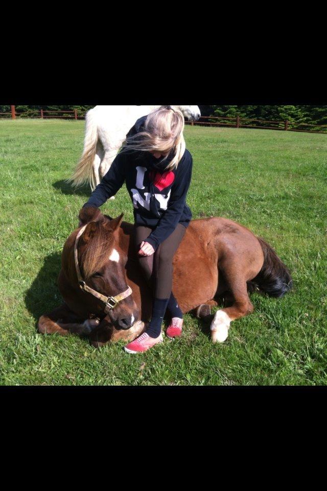 Anden særlig race Håbet Zeus - Hej og velkommen til Zeus's profil :) billede 1