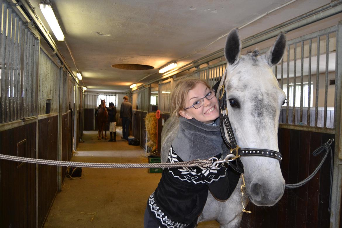 Connemara Hesselholts Wild Rose - Stemnings billed billede 5