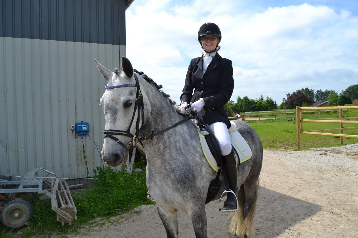 Connemara Hesselholts Wild Rose - Første stævne billede 2