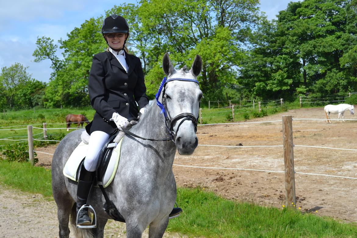 Connemara Hesselholts Wild Rose - Nr 2, til første dressur stævne! billede 12