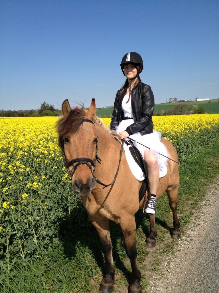 Anden særlig race Frej billede 2