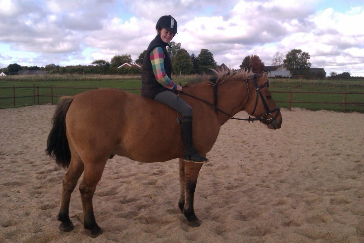 Anden særlig race Frej billede 12