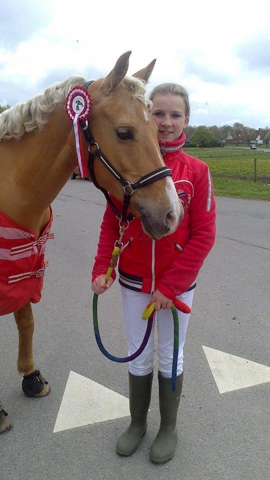Tysk Sportspony Lavinia<3<3 - elsker dig min pige! <3 billede 8