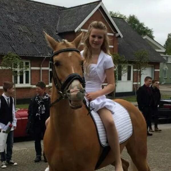 Tysk Sportspony Lavinia<3<3 - lavinia som overraskelse ved kirken <3 billede 1