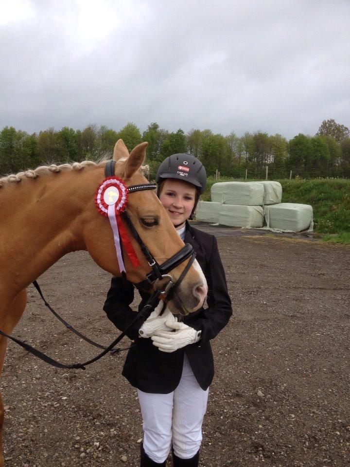 Tysk Sportspony Lavinia<3<3 - vandt LC-1 i jelling <3  billede 7