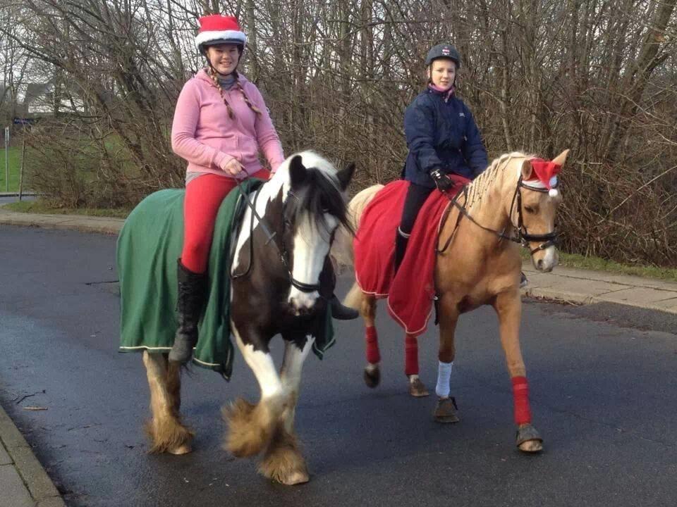 Tysk Sportspony Lavinia<3<3 - juleoptog <3 billede 12