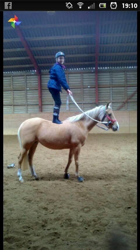 Tysk Sportspony Lavinia<3<3 - første gang jeg står på prutten! <3 billede 13