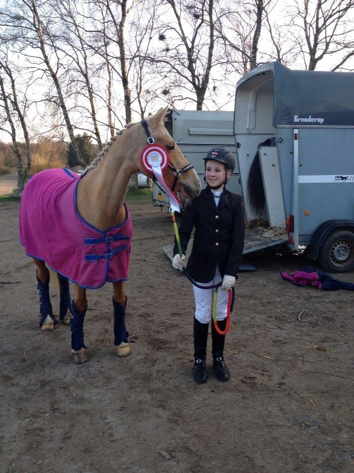 Tysk Sportspony Lavinia<3<3 - vandt LC-1 i horsens <3 billede 4