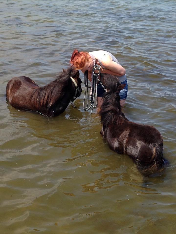 Anden særlig race Lille-pigen. - Lille-pigen, Nanna og Cira i vandet <3 4/6-14 billede 14