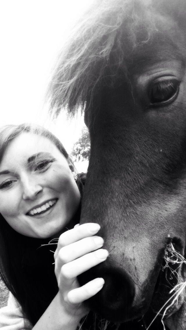 Shetlænder | Ib (Ibrahim) billede 17