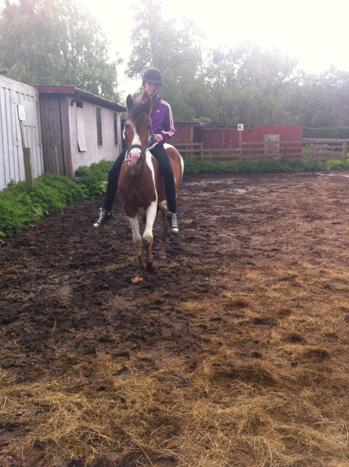 Anden særlig race Sunday billede 1