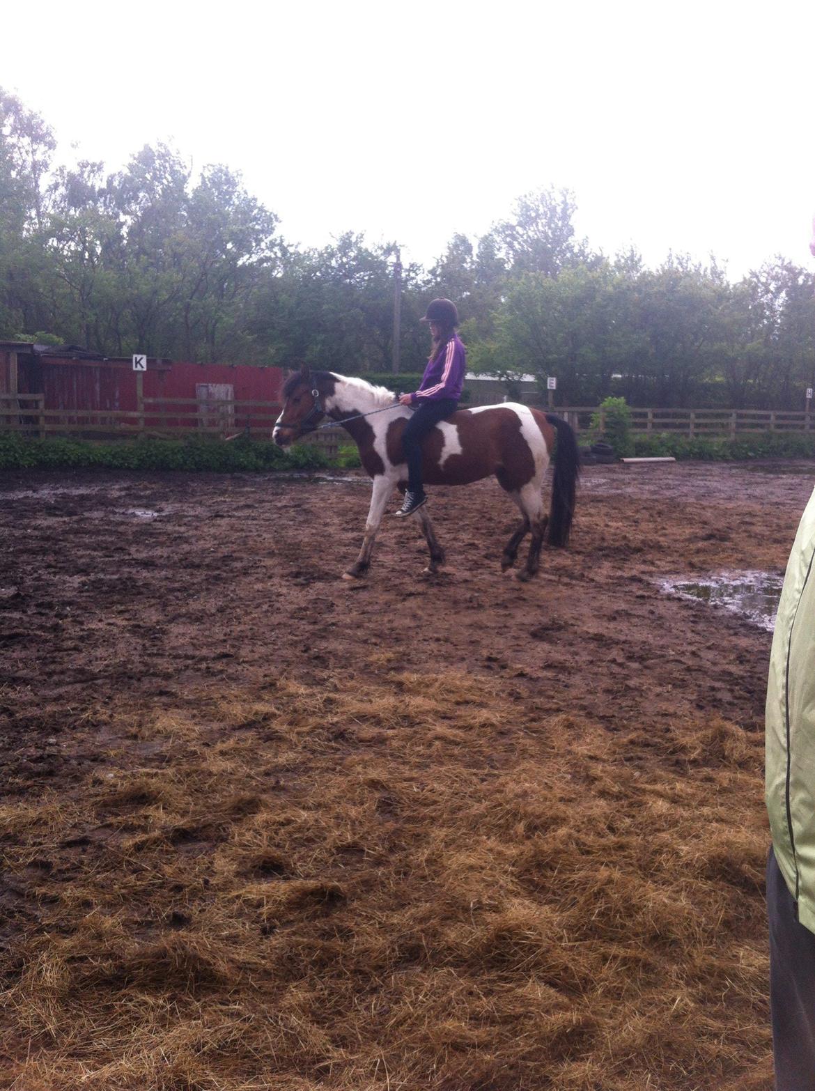 Anden særlig race Sunday billede 2