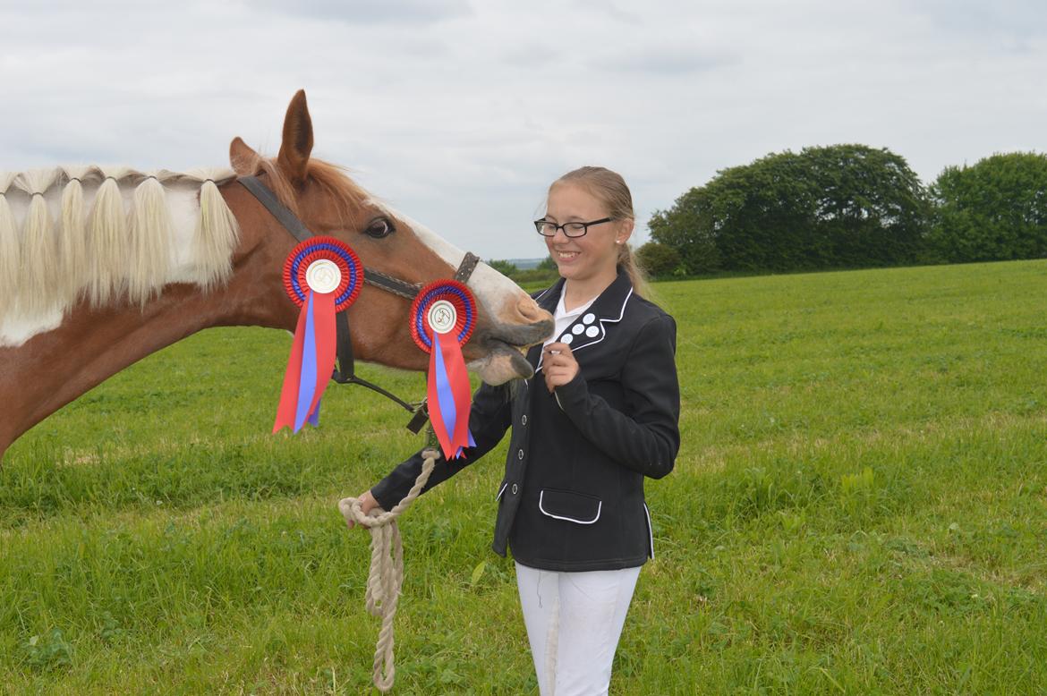 Pinto Indurain Delight - Den Brogede Skønhed billede 11