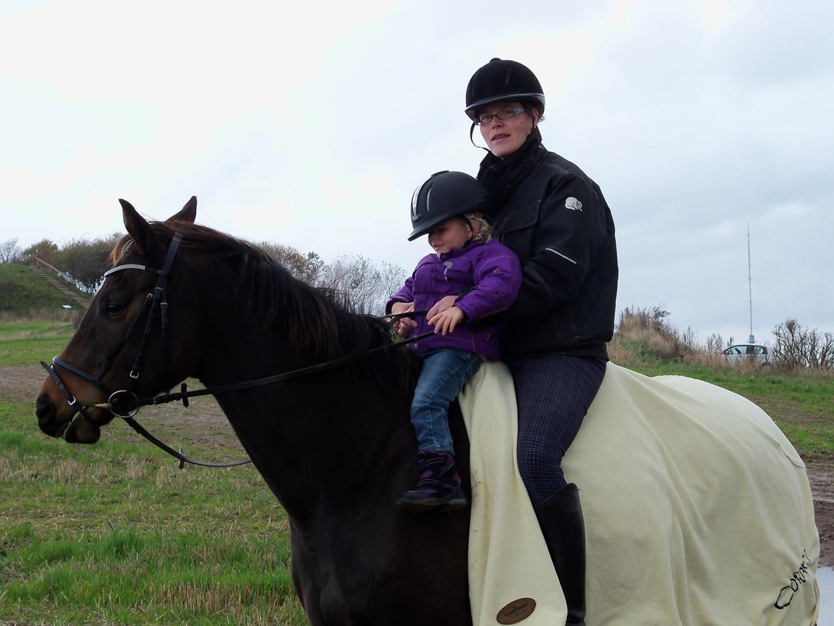 Holstener elona billede 6