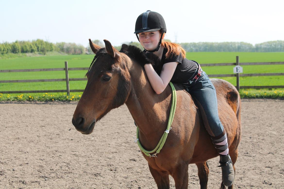 Anden særlig race Skipper billede 11