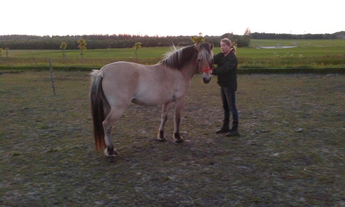 Anden særlig race Ronja Mussen billede 5