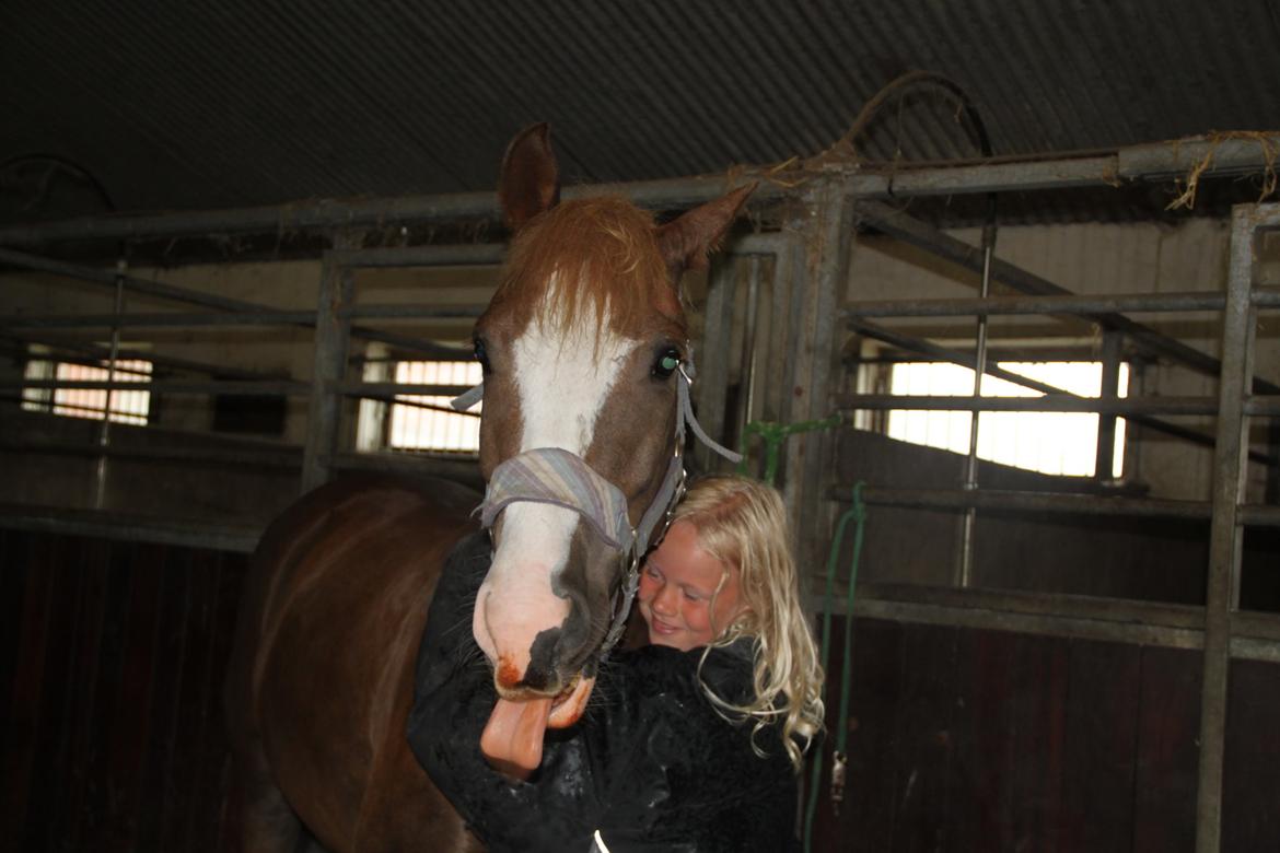 Anden særlig race Mikado -  frække dreng rækker lige tunge. billede 14