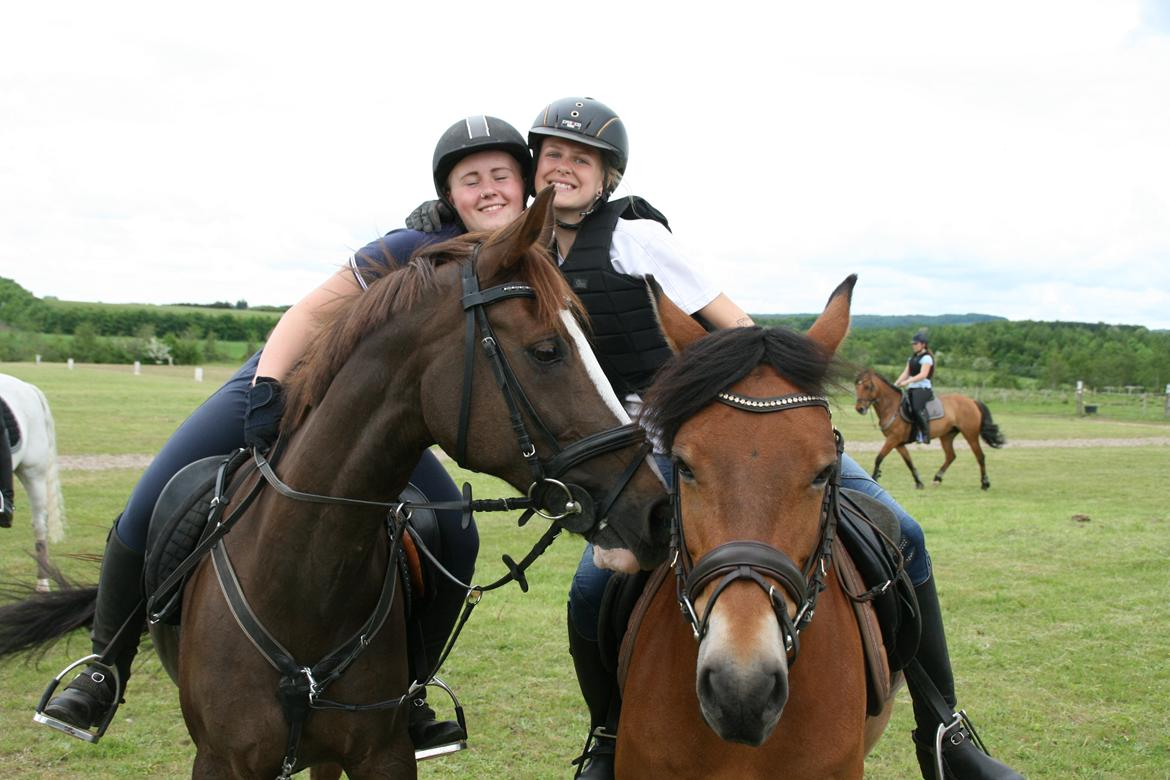 Anden særlig race kiara - Frida, ponyerne og VMSE <3 <3 billede 12