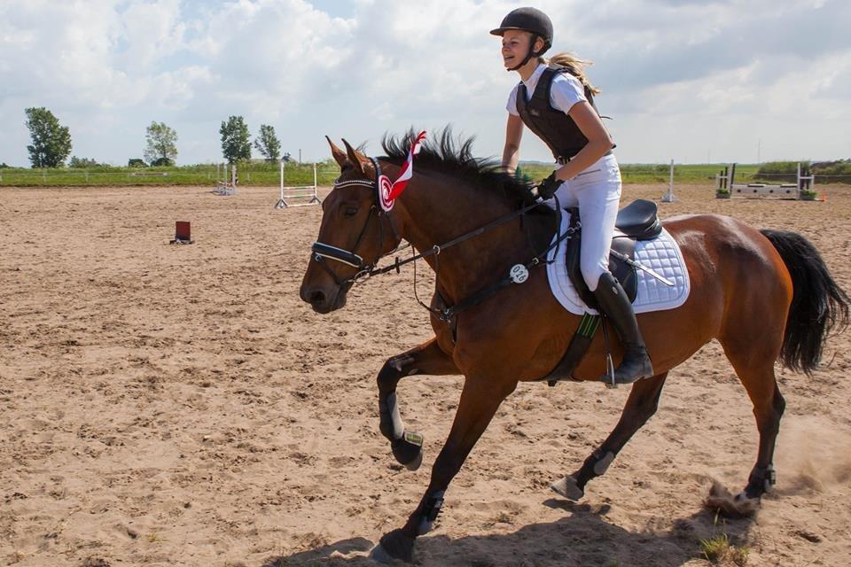 Dansk Varmblod Krogagers Cilla - Sejeste lille brun 1, plads til vores 2. stævne sammen! billede 7
