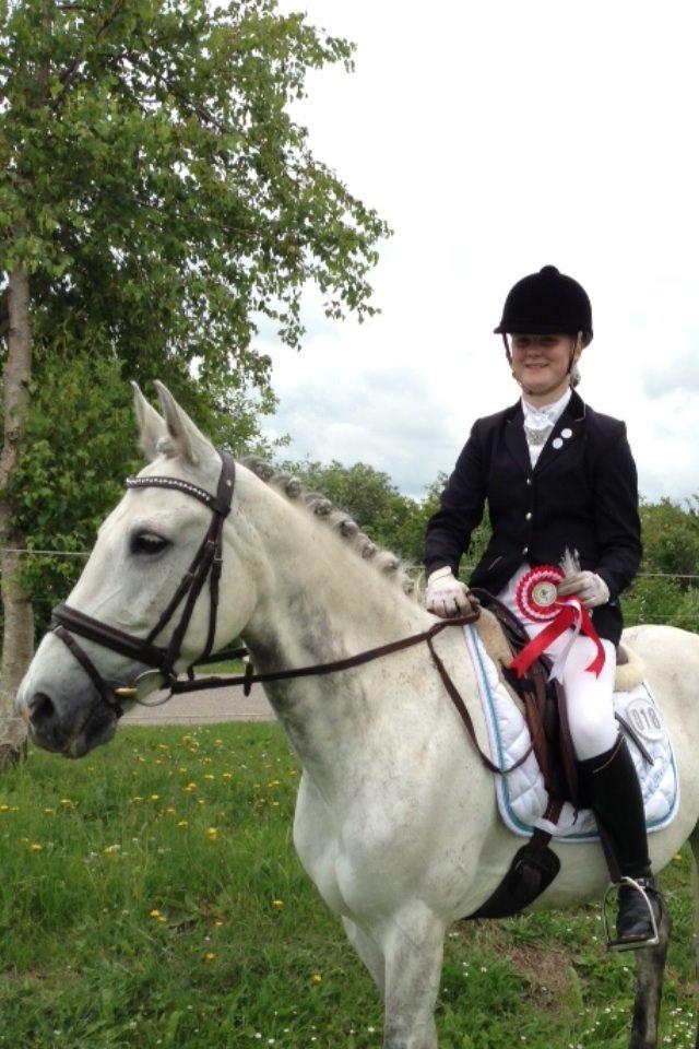 Anden særlig race Mr. Bento <3 - Vinder af LB2 med 65%<3 billede 5