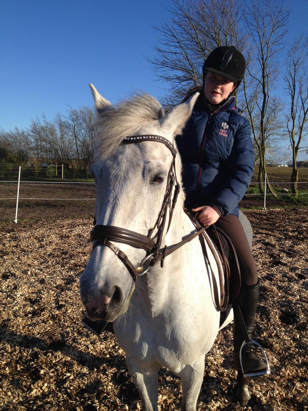 Anden særlig race Mr. Bento <3 - smukke dreng<3 billede 9