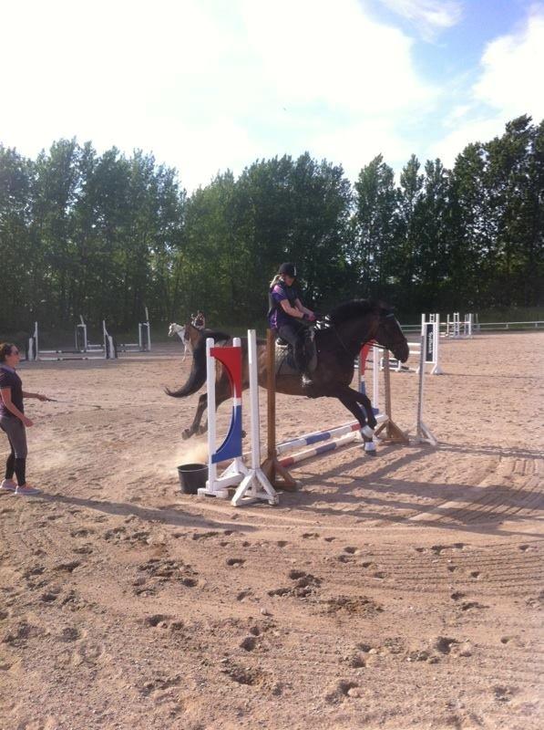 Oldenborg Pirana - Vores anden springtime sammen i flere måneder  billede 13