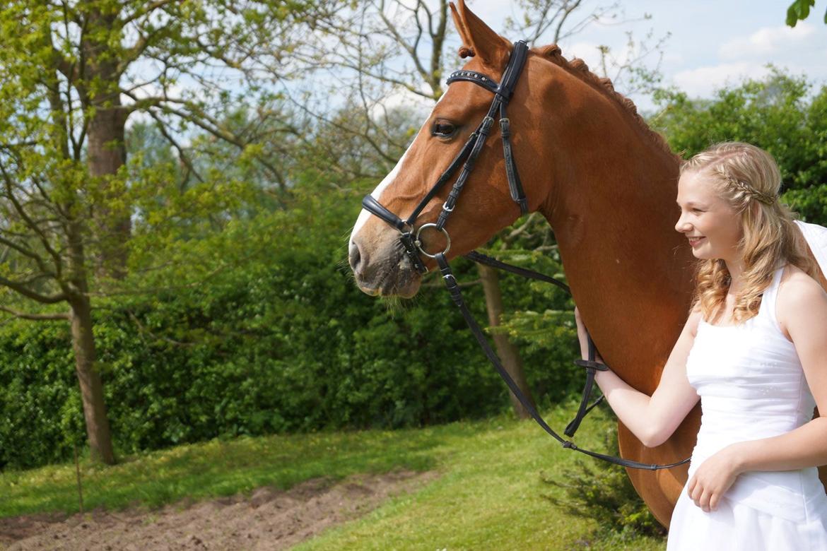 DSP Lintrupgaards spirit - Konfirmation 2014 billede 3