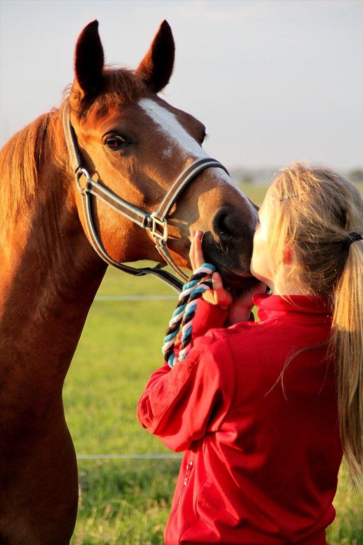 Anden særlig race Aschia billede 1