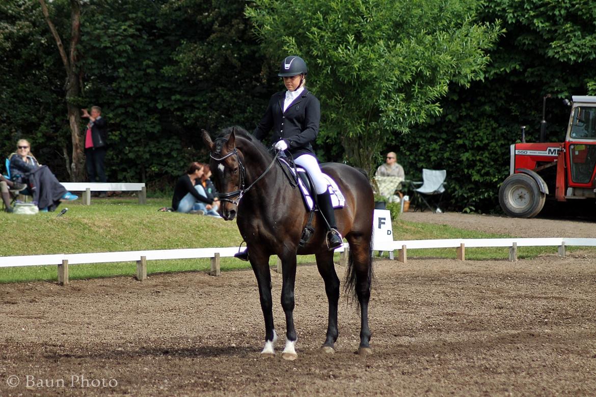 Holstener UNITED <3 billede 11