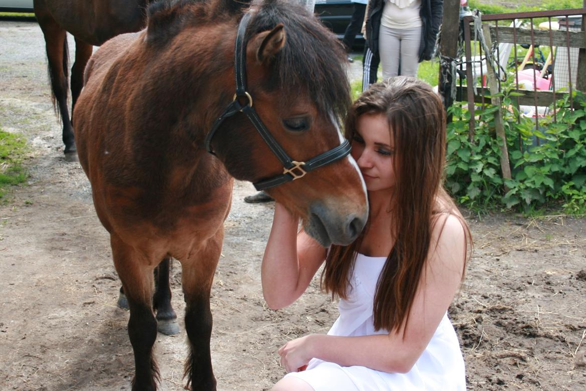 Gotlandsruss Pingo Pan(Æslet) <3 - Konfirmation 16 Maj 2014 <3 billede 2