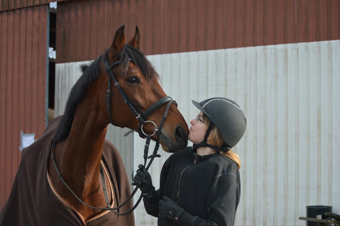 Dansk Varmblod Fiona *Fio* - ikke noget bedre end dig <3 billede 10