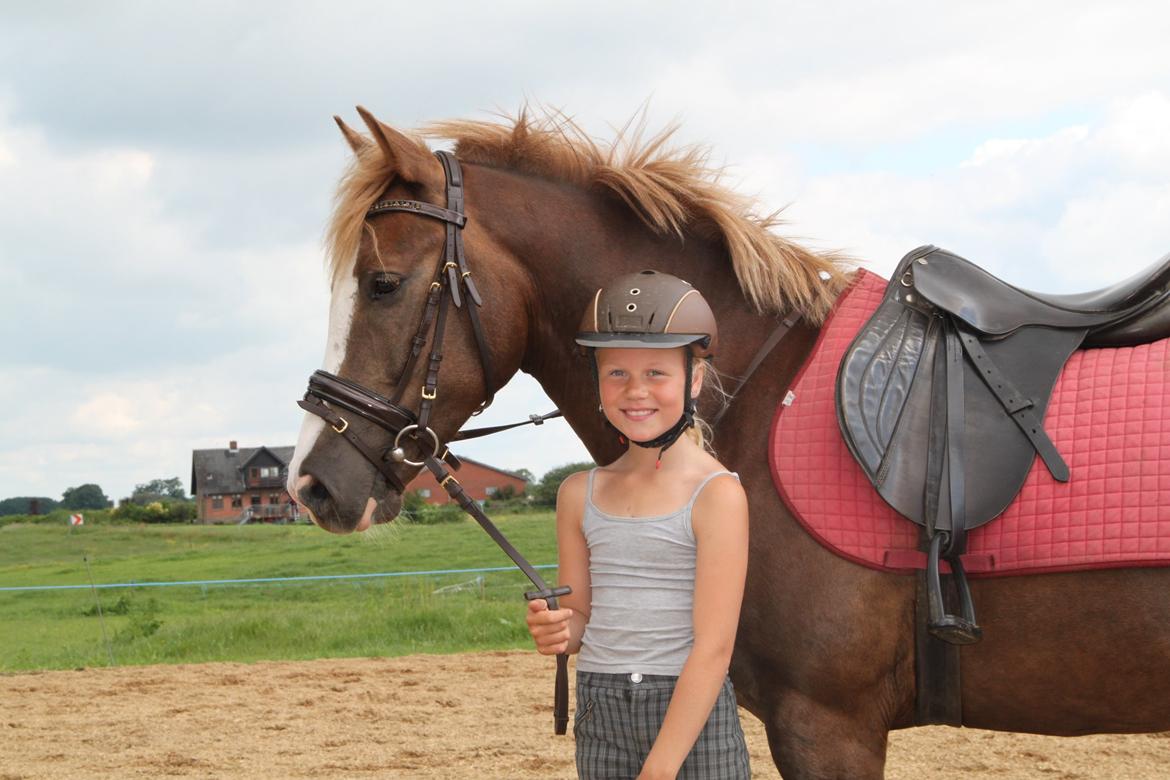 Anden særlig race Mikado billede 17