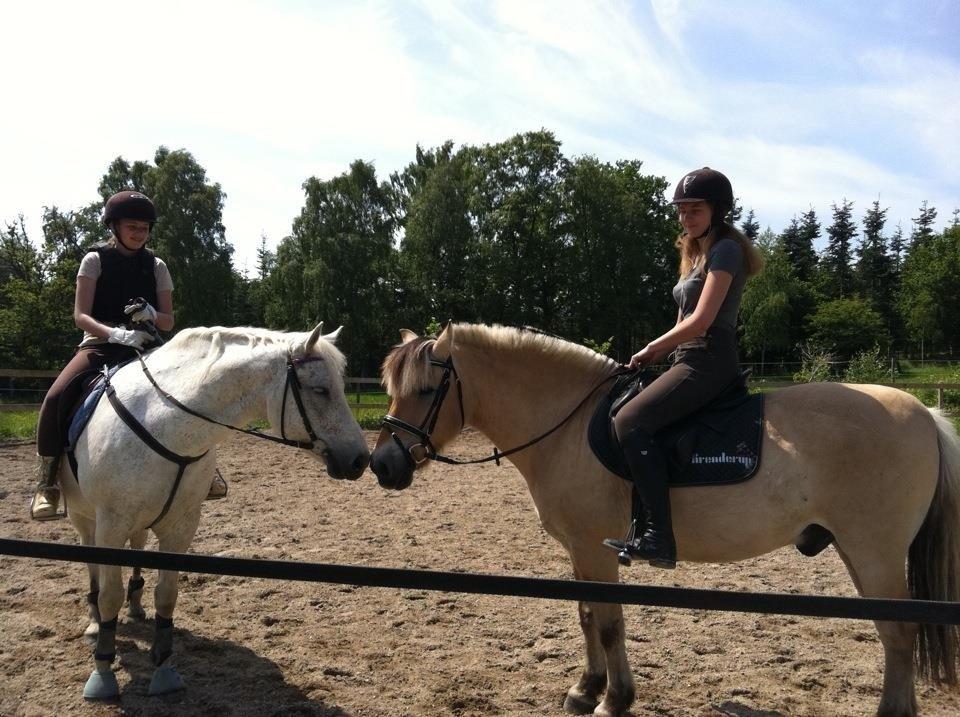 Fjordhest Thor - Caroline på Viktor og mig på Thor. billede 9