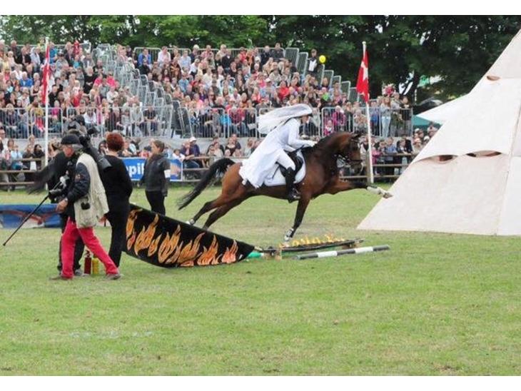 {{currentPhoto.altText}} billede {{currentPhoto.number}}