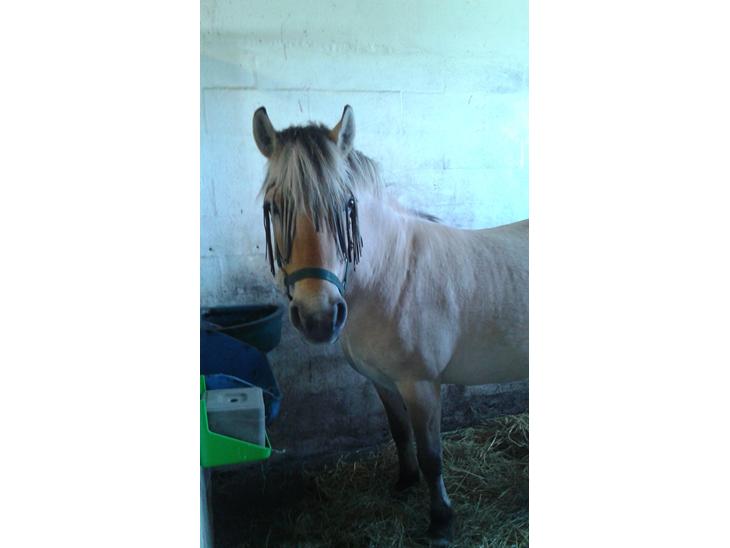 {{currentPhoto.altText}} billede {{currentPhoto.number}}