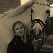 DSP Nørlunds Sally Maree