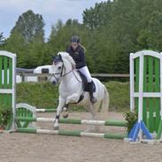 Anden særlig race Sofus