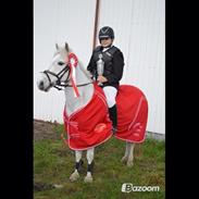 Anden særlig race Lukas "my best friend"