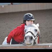 Anden særlig race Lukas "my best friend"