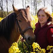 Anden særlig race Bella, elsker den hest!<3