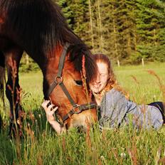 Islænder Magnus teglum
