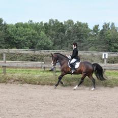 DSP Danny Boy [Har redet]