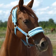 Anden særlig race Purples Red April (Part)