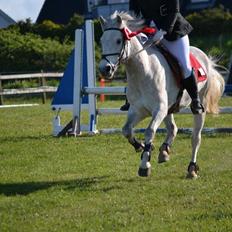 Anden særlig race silver (Min bedste ven) <3